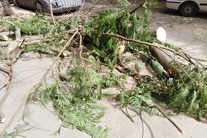 رفع مخلفات بشارع صلاح الدين