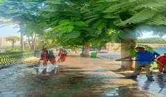 المظهرالجمالي والحضاري يعود لحي السيدة زينب 