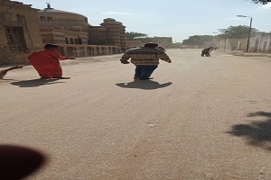 حملة نظافه وتقليم الأشجار بالحي