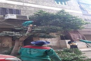 استعادة المظهر الحضاري لشوارع الحي