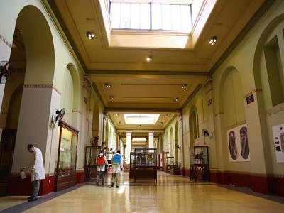 بدء أعمال تعقيم وتطهير المتاحف الأثرية