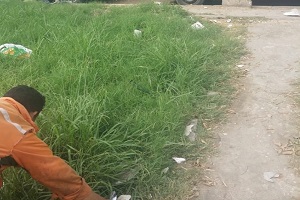 أعمال نظافة لشارع عبد الله ابو السعود وشارع محمد شفيق بالحي