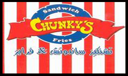 تشنكيز للسندوتشات والفرايز