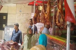 حملات من الطب البيطري