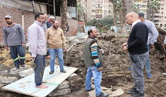 رفع كفاءة مشتل حدائق القبه وتطويره