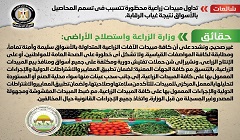 حقيقة تداول مبيدات زراعية محظورة تتسبب في تسمم المحاصيل بالأسواق