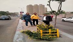 اعمال تصنيع وتركيب الاشكال الاسمنتية امام المحكمه الدستورية العليا