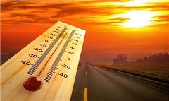 الارصاد: طقس اليوم دافئ نهارا والعظمى بالقاهرة 21 درجة