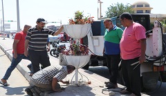 تثبيت وتركيب الفازات الديكورية في شارع حسن المأمون بمدينة نصر