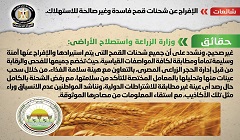 حقيقة الإفراج عن شحنات قمح فاسدة وغير صالحة للاستهلاك