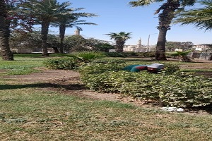 حملات لصيانة الحدائق، أعمدة الإنارة ببعض شوارع الحي