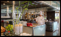 نايت اند داي