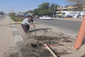 متابعة الاعمال اليومية بالحي 