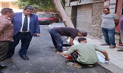 دهان وتجميل بلدورات الأرصفة بشوارع الزمالك