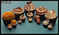 نولا كب كيكس