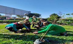 متابعة تنفيذ مبادرة " 100 مليون شجرة"