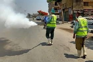 حملات نظافة لرفع كفاءة وتعقيم وتطهير شوارع ومناطق حي حلوان 