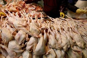 ضبط طن دواجن فاسدة بحي 15 مايو