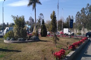 أعمال زراعة وتجميل لمنطقة النزهة