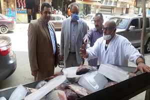 المرور الميداني على المجمعات الاستهلاكية بحي روض الفرج