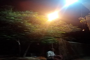 حمله لرفع كفاءة الإنارة بشارع عمر بن عبد العزيز في حي دار السلام