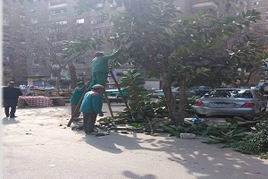 المتابعة الميدانية المستمرة لأعمال تقليم الأشجار 