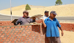 تجهيز الأحواض التجميليه للزراعة بمحور عبد المجيد محمود