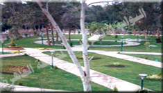 حديقة الجولف