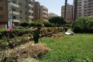 إنهاء أعمال الصيانة لمربع الرحالة البغدادي ١ بأرض الجولف 