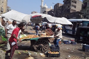 حملة لرفع الاشغالات بشارع الحرية