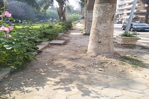 حملات نظافه  ببعض شوارع حي طره