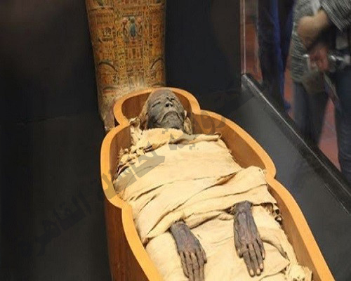 Egyptian Museum - Image 4