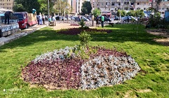 زراعة وإنشاء حديقة بالحي السادس بشرق مدينة نصر