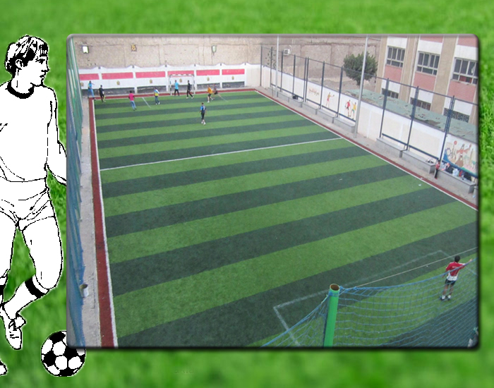 معرض صور مركز شباب شبرا