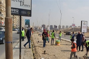 ضمن حملة «إتحضر للأخضر».. البيئة تشارك في تشجير المعادي