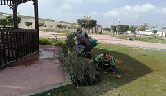 تدشين مبادرة اتحضر للاخضربحي السلام اول