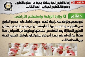 حقيقة وجود سلالة جديدة من أنفلونزا الطيور