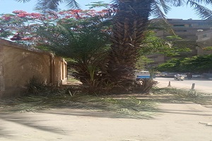 بضرورة استعادة المظهر الحضاري لشوارع الحي 