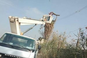 حملة مكبرة لصيانة اعمدة الاناره بالحي