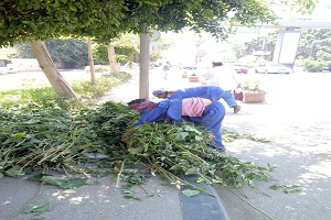 تكثيف حملات النظافة بشوارع الحي