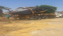 أحدث معدات هيئة نظافة القاهرة لنقل الأشجار والنخيل وإعادة زراعتها