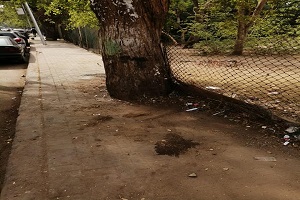 حي المعادي يواجه مخالفات القمامة بحملات على مدار اليوم