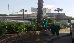 ري المسطحات الخضراء بميدان عبد المنعم رياض