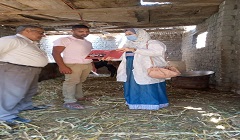 مديرية الطب البيطري: ندوة عن الأمراض المشتركة بين الإنسان والحيوان بحي التبين