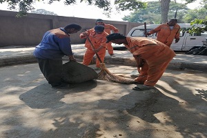 أعمال نظافة بالزمالك