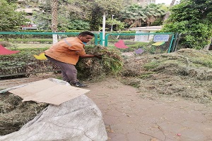 نظافة حديقة الطفل