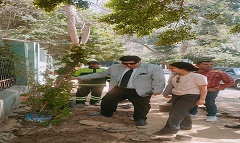مبادرة زرع شتلات الازهار بشارع محمد أنيس  