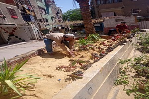 حملة لرفع كفاءة الحدائق والمساحات الخضراء بالحي