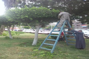 حملة موسعة لرفع إشغالات المقاهي والمحال في التبين