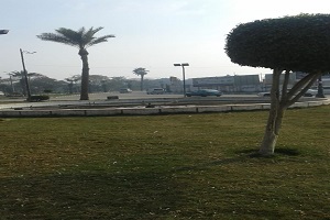 حملة مكبرة لرفع الاشغالات بشوارع حلوان